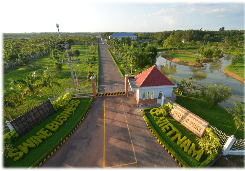 lĩnh vực hoạt động